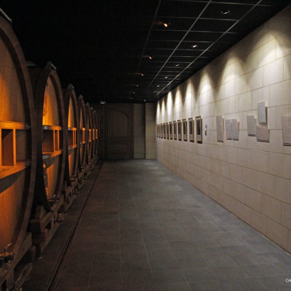 Gaufrages exposés dans les caves des Champagne Telmont